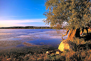 Nonnensee