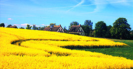 Juni-Bild