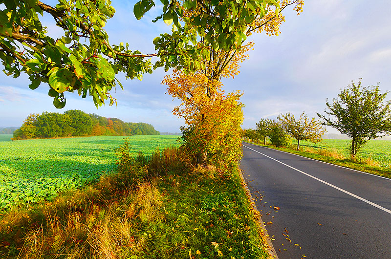 zur Übersicht Alleen 2