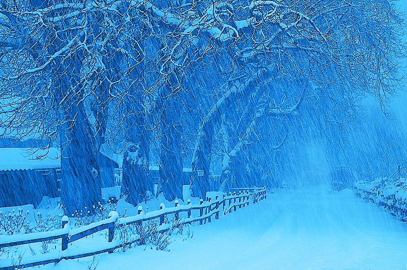 zur Übersicht Alleen 2