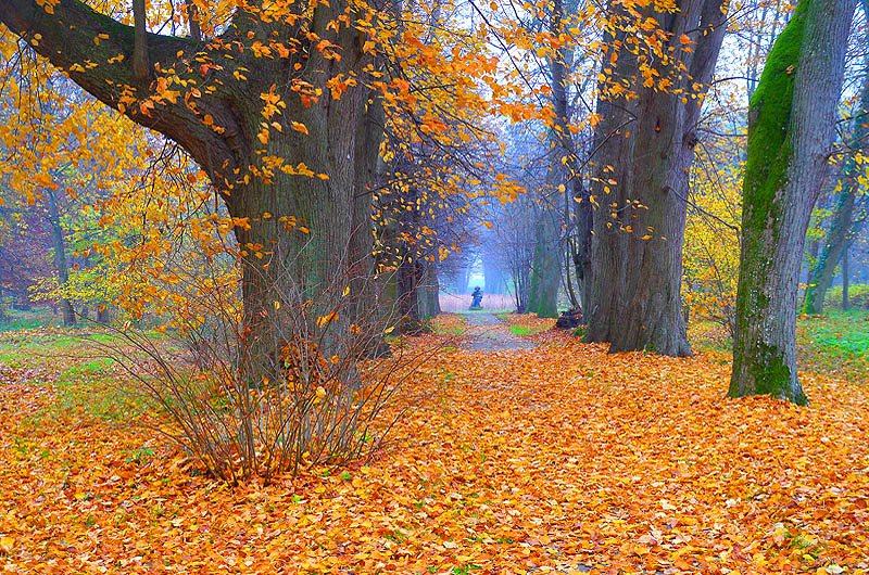 zur Übersicht Alleen 3