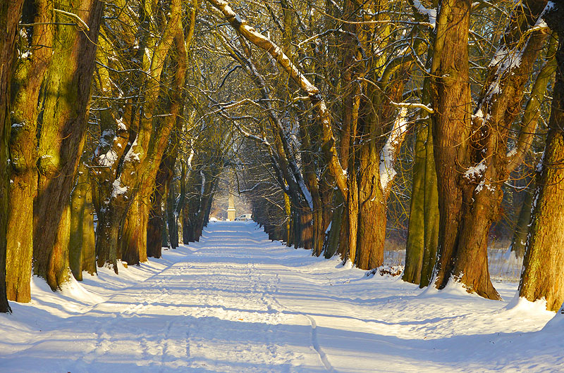zur Übersicht Alleen 3