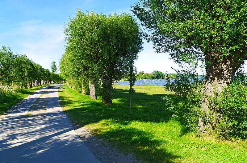 zur Übersicht Alleen 4