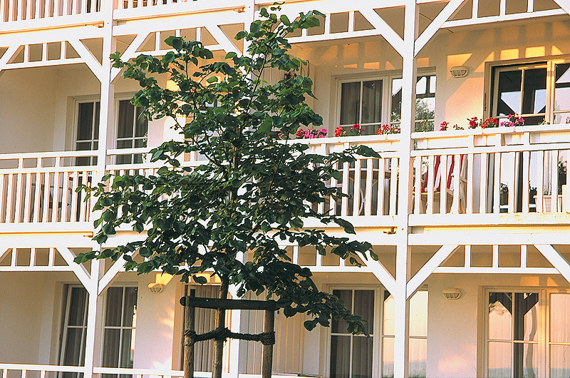 zur Übersicht Bäderarchitektur 2