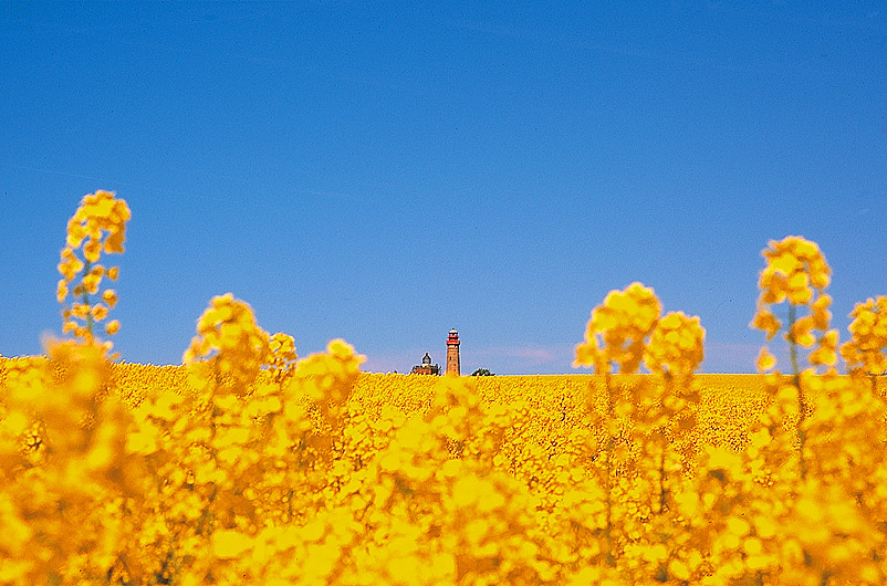 zur Übersicht Arkona 1
