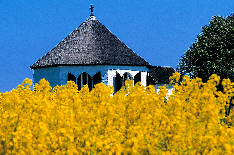 zur Übersicht Arkona 2