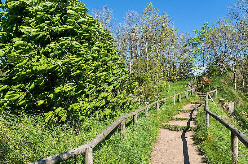 zur Übersicht Arkona 6