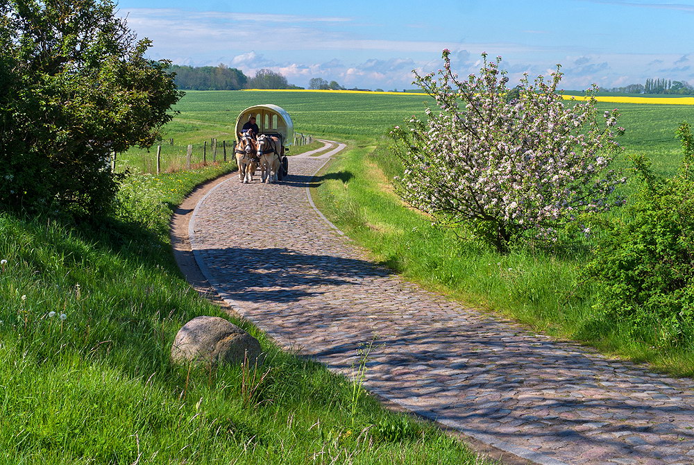 zur Übersicht Arkona 7
