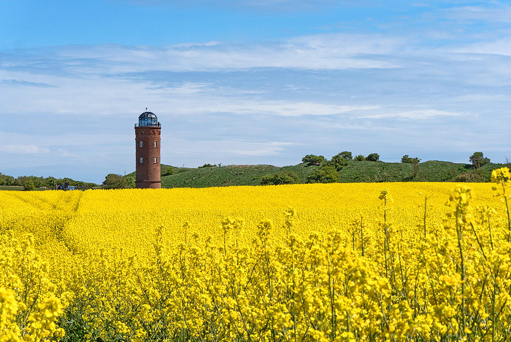 zur Übersicht Arkona 7