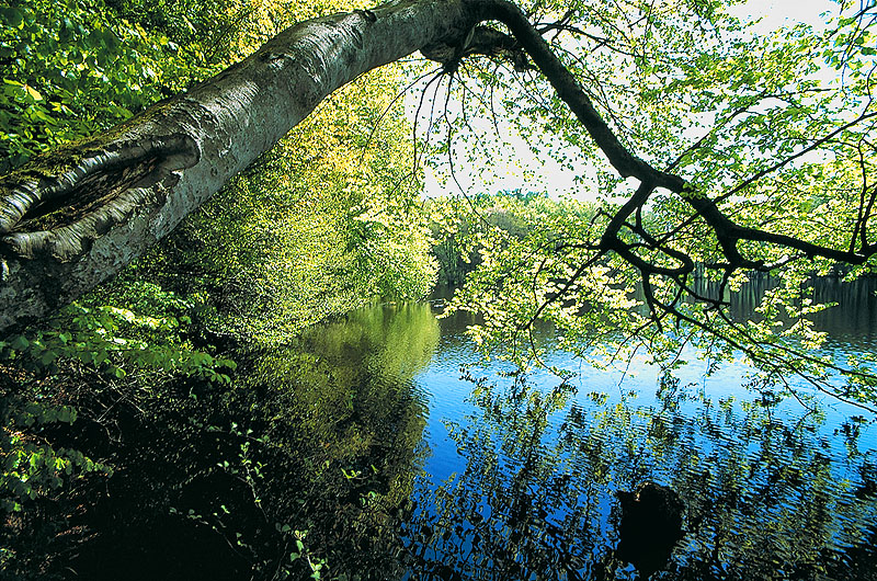 zur Übersicht Binnenseen 1