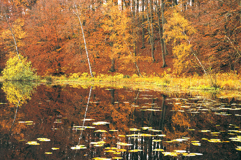zur Übersicht Binnenseen 1