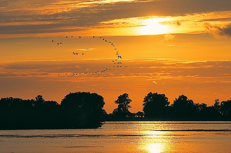 zur Übersicht Binnenseen 1