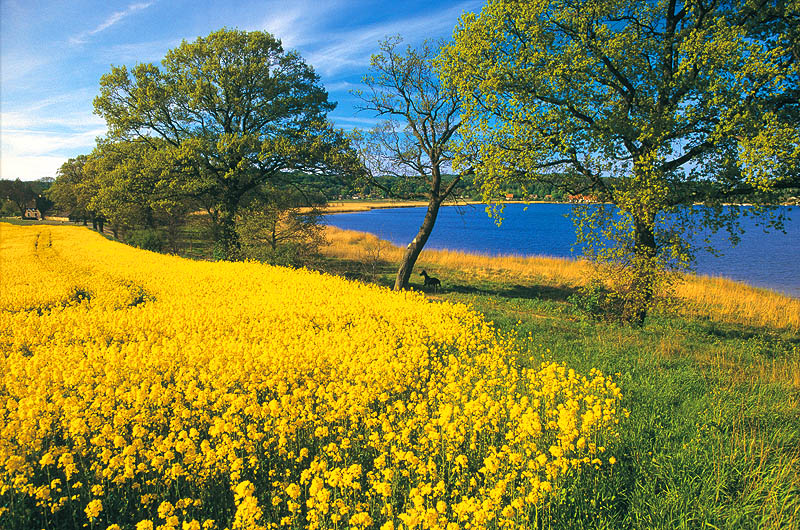 zur Übersicht Binnenseen 2