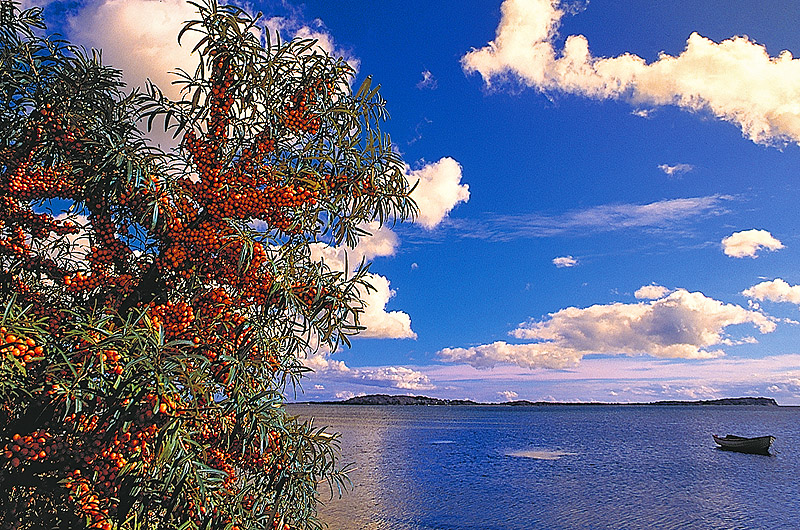 zur Übersicht Boddenküste 1