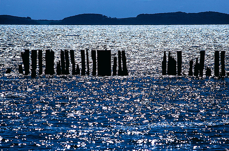 zur Übersicht Boddenküste 1