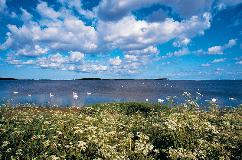 zur Übersicht Boddenküste 1