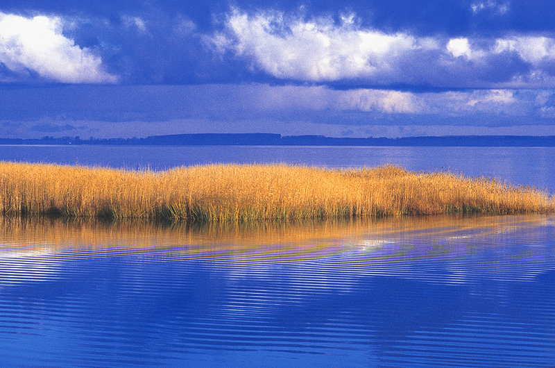 zur Übersicht Boddenküste 1