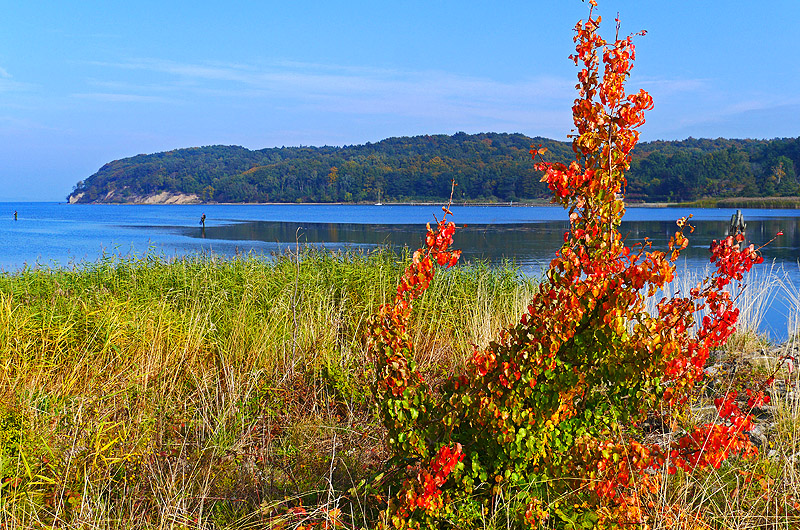 zur Übersicht Boddenküste 2