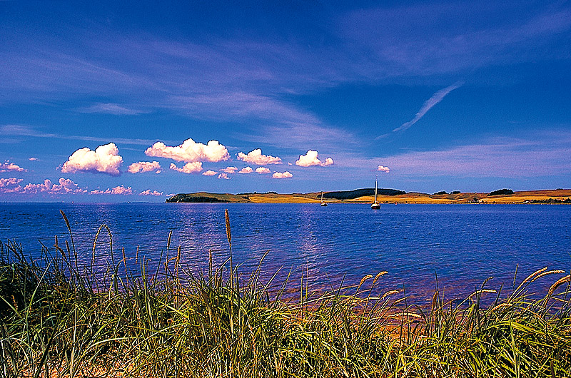 zur Übersicht Boddenküste 3