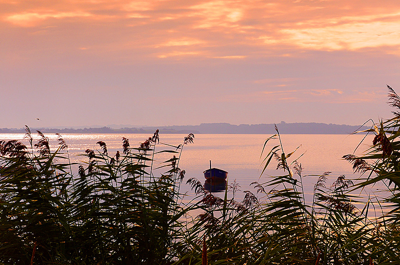 zur Übersicht Boddenküste 3