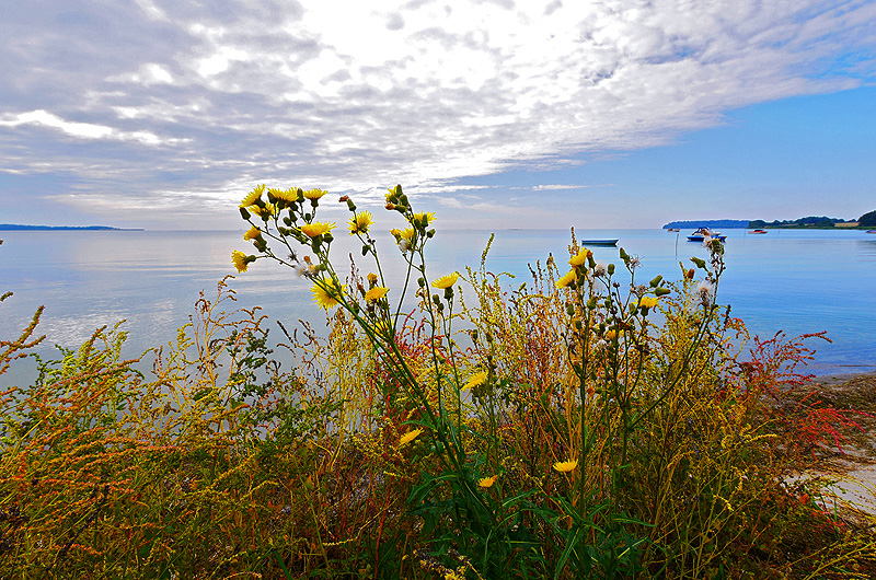zur Übersicht Boddenküste 3