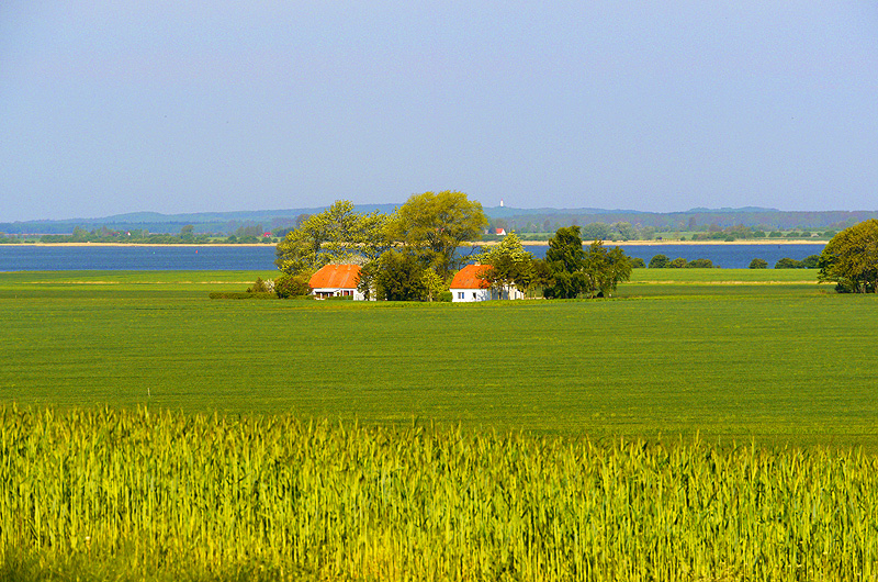 zur Übersicht Boddenküste 3