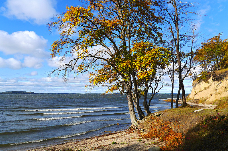 zur Übersicht Boddenküste 3