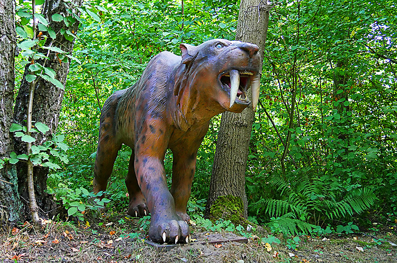 zur Übersicht Dinoland 1