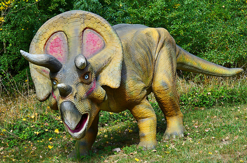 zur Übersicht Dinoland 1