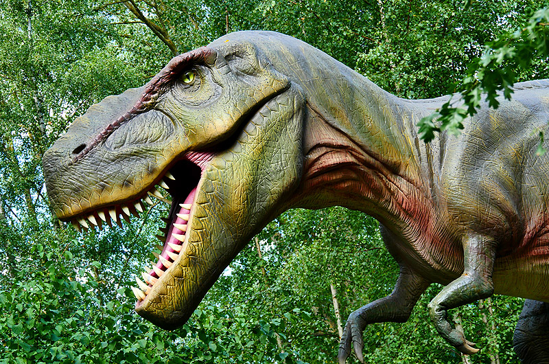 zur Übersicht Dinoland 1