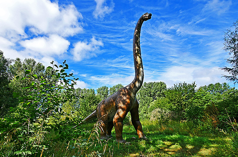 zur Übersicht Dinoland 1 