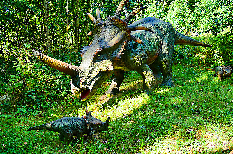 zur Übersicht Dinoland 1