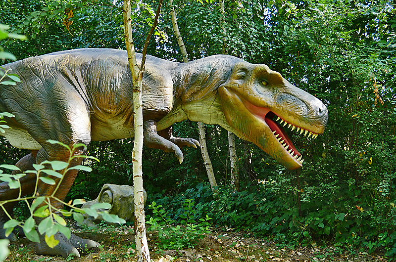 zur Übersicht Dinoland 2