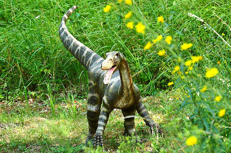 zur Übersicht Dinoland 2