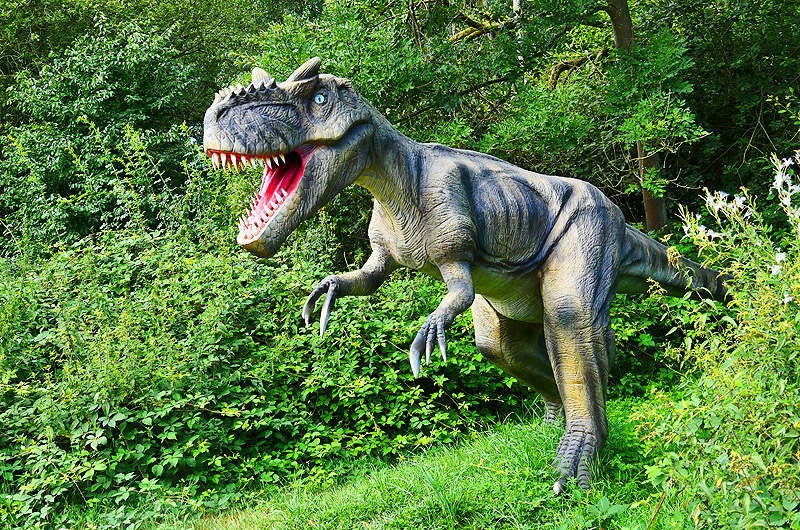 zur Übersicht Dinoland 2