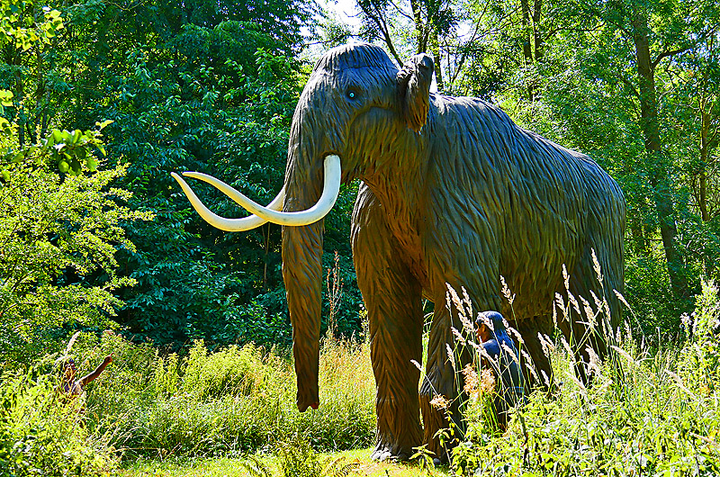 zur Übersicht Dinoland 2