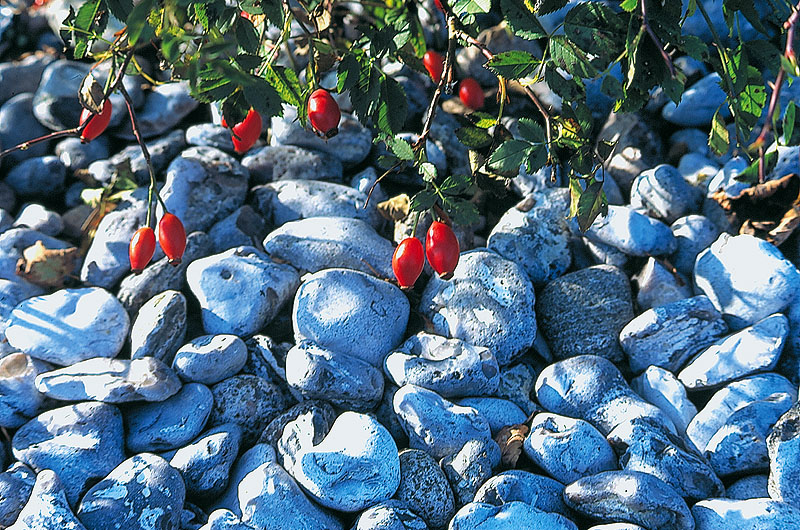 zur Übersicht Feuersteinfelder 1