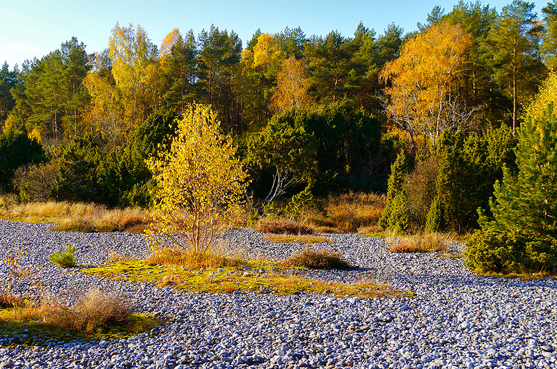 zur Übersicht Feuersteinfelder 1
