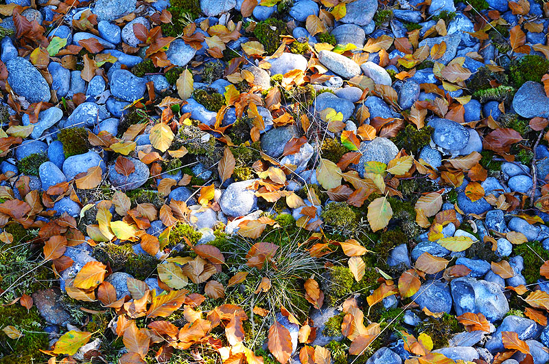 zur Übersicht Feuersteinfelder 2