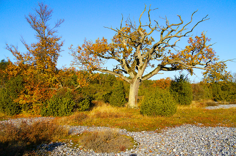 zur Übersicht Feuersteinfelder 3