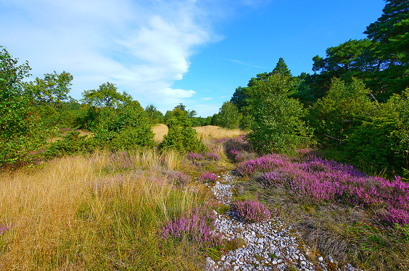 zur Übersicht Feuersteinfelder 3