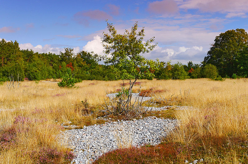 zur Übersicht Feuersteinfelder 3