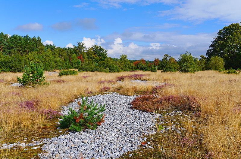 zur Übersicht Feuersteinfelder 3