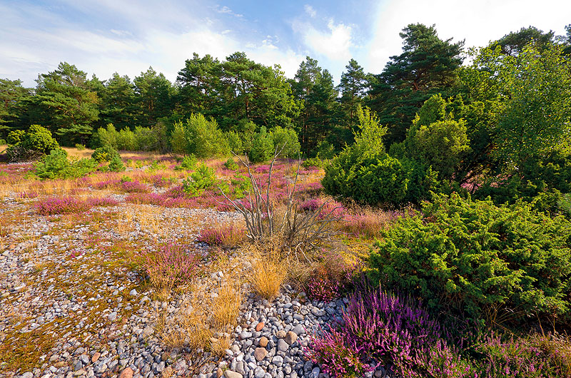 zur Übersicht Feuersteinfelder 3