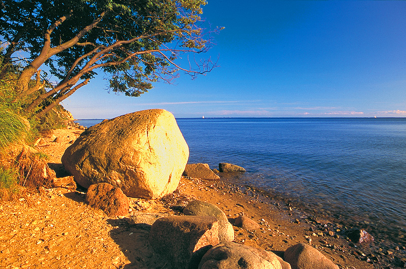 zur Übersicht Findlinge 2