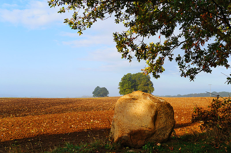 zur Übersicht Findlinge 2