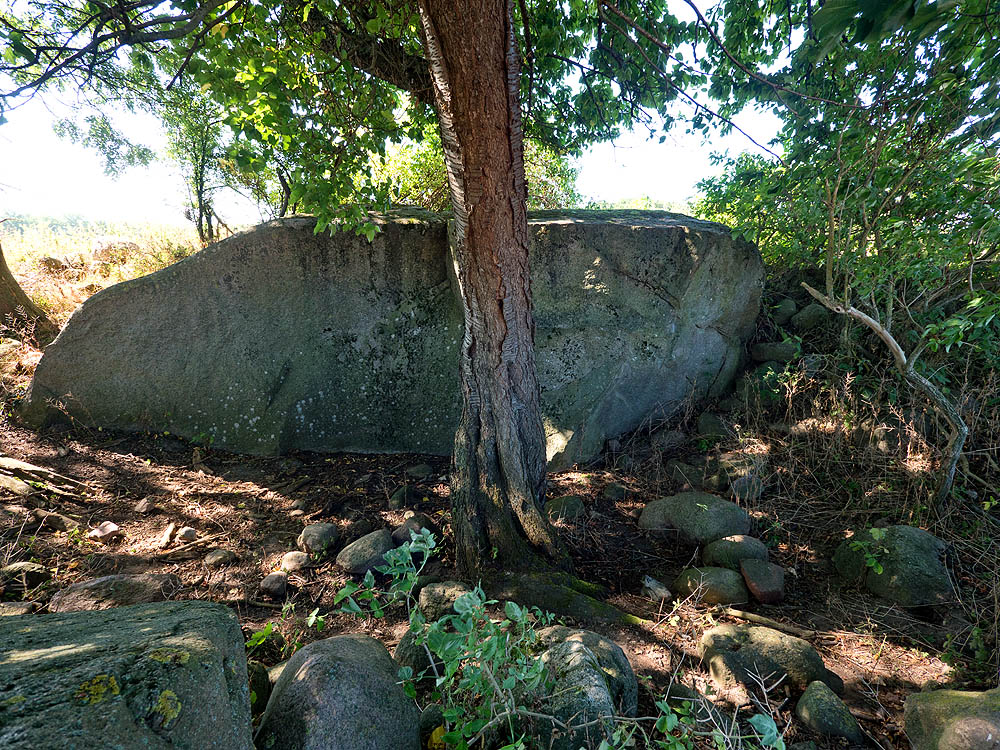 zur Übersicht Findlinge 3