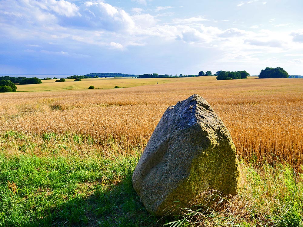 zur Übersicht Findlinge 3