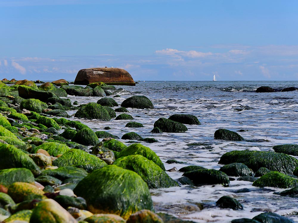 zur Übersicht Findlinge 4