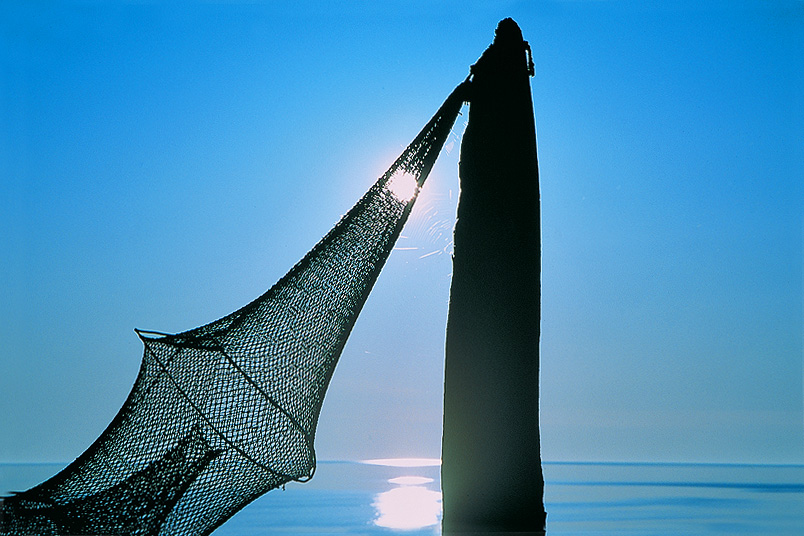 zur Übersicht Fischer-Requisiten 1